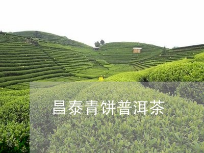 昌泰青饼普洱茶/2023081809592