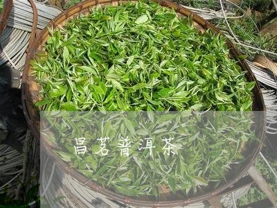 昌茗普洱茶/2023090630816