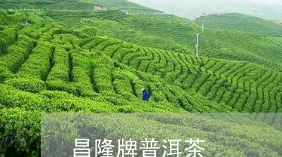 昌隆牌普洱茶/2023042703033