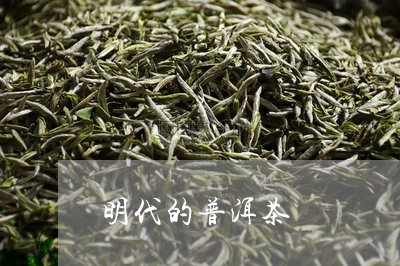 明代的普洱茶/2023042738912