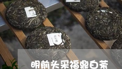 明前头采福鼎白茶/2023062182834