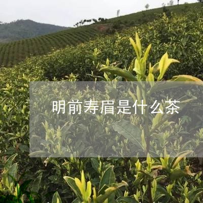 明前寿眉是什么茶/2023062162846