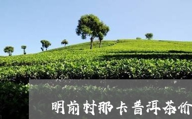 明前村那卡普洱茶价格/2023092850484