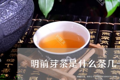 明前芽茶是什么茶几十年前的普洱茶/2023060382726