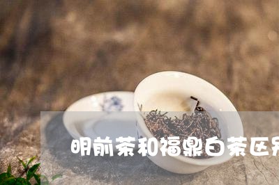 明前茶和福鼎白茶区别/2023120636168