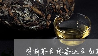 明前茶是绿茶还是白茶/2023100268582