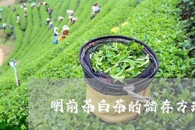 明前茶白茶的储存方式/2023100213036