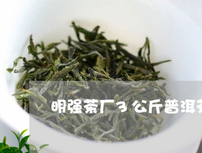 明强茶厂3公斤普洱茶/2023072461714