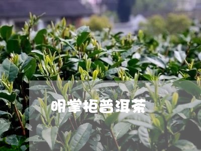 明掌柜普洱茶/2023042629165