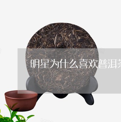 明星为什么喜欢普洱茶/2023100667585