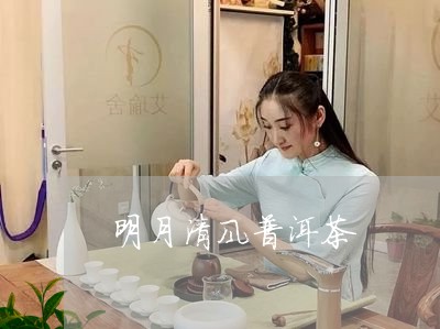 明月清风普洱茶/2023082942837