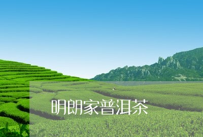 明朗家普洱茶/2023042882103