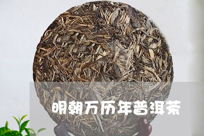 明朝万历年普洱茶/2023082975837