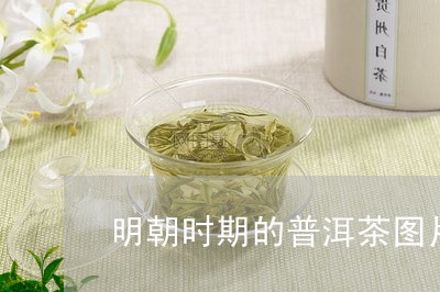 明朝时期的普洱茶图片/2023080239472