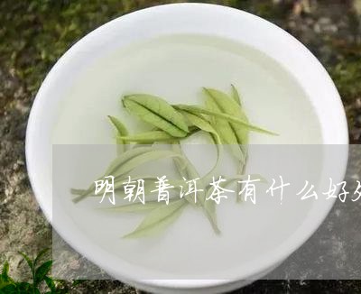 明朝普洱茶有什么好处/2023080108313