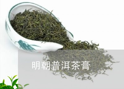 明朝普洱茶膏/2023042671164