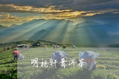 明杨轩普洱茶/2023042520080