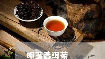 明玉普洱茶/2023112695717