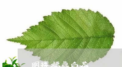 明珠福鼎白茶/2023062874915