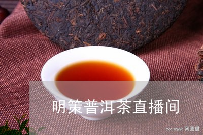 明策普洱茶直播间/2023120457270