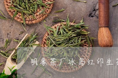 明象茶厂冰岛红印生茶/2023092329354