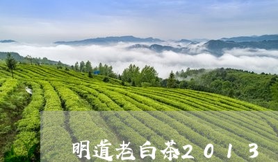 明道老白茶2013/2023071326250