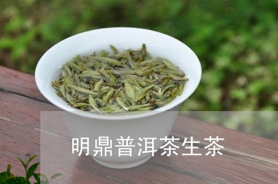 明鼎普洱茶生茶/2023081572625