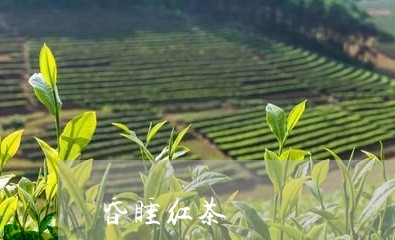 昏睡红茶/2023090182526