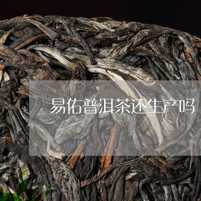 易佑普洱茶还生产吗/2023061868473