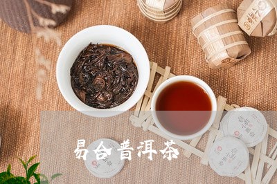 易合普洱茶/2023081563625