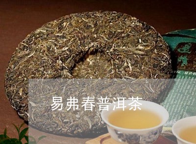 易弗春普洱茶/2023042583909