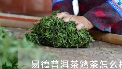 易德普洱茶熟茶怎么样喝/2023121646251