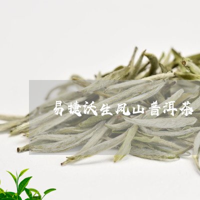 易捷沃生凤山普洱茶/2023082972715