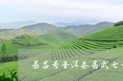 易昌号普洱茶易武七子/2023062893804