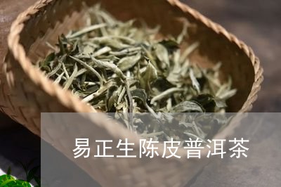 易正生陈皮普洱茶/2023120305026