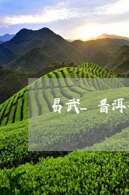 易武_普洱茶/2023042705426