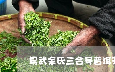 易武余氏三合号普洱茶/2023092559381