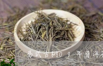 易武古树09年普洱茶/2023092773937