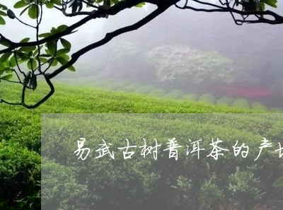 易武古树普洱茶的产地/2023082961694