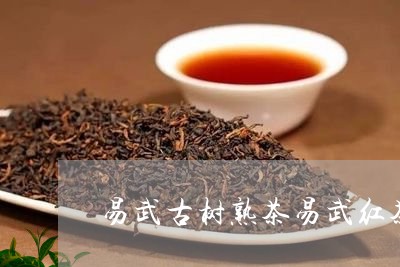 易武古树熟茶易武红茶/2023092343937