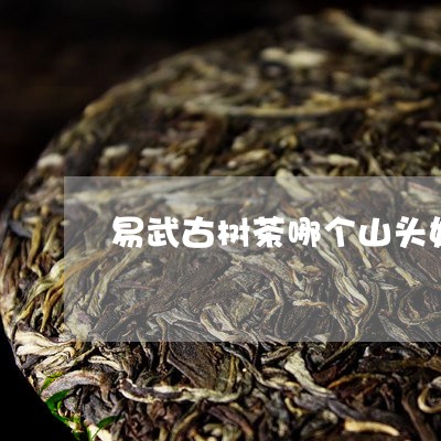 易武古树茶哪个山头好/2023092305969