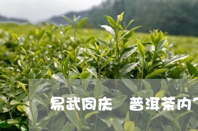 易武同庆號普洱茶内飞/2023061599672