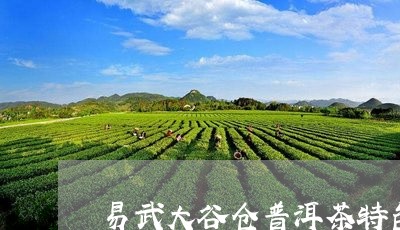 易武大谷仓普洱茶特色/2023100832045