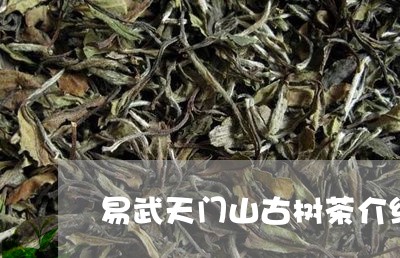 易武天门山古树茶介绍普洱茶天门山/2023060355169