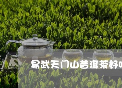 易武天门山普洱茶好吗/2023093083057