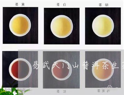 易武天门山普洱茶生茶散茶/2023112908168