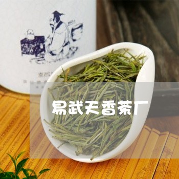 易武天香茶厂/2023090748289