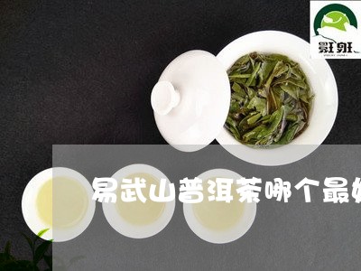 易武山普洱茶哪个最好/2023080138262