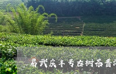 易武庆丰号古树茶普洱茶/2023112825048