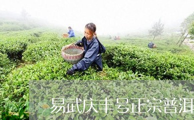 易武庆丰号正宗普洱茶/2023120603847